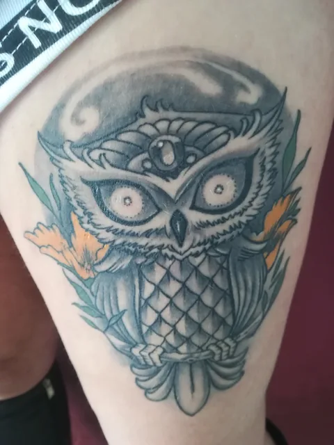Tatuaje neotradicional de un búho en el brazo.