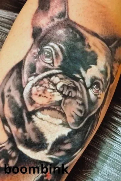 Tatuaje black and grey de un bulldog en el brazo.