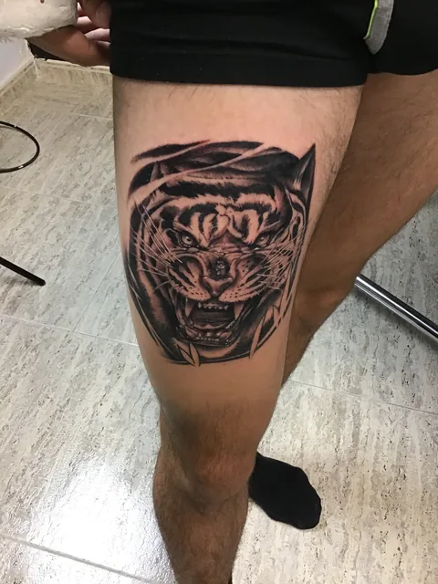 Tatuaje black and grey de un tigre en la pierna.